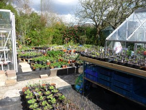 Plenty of choice at great prices!