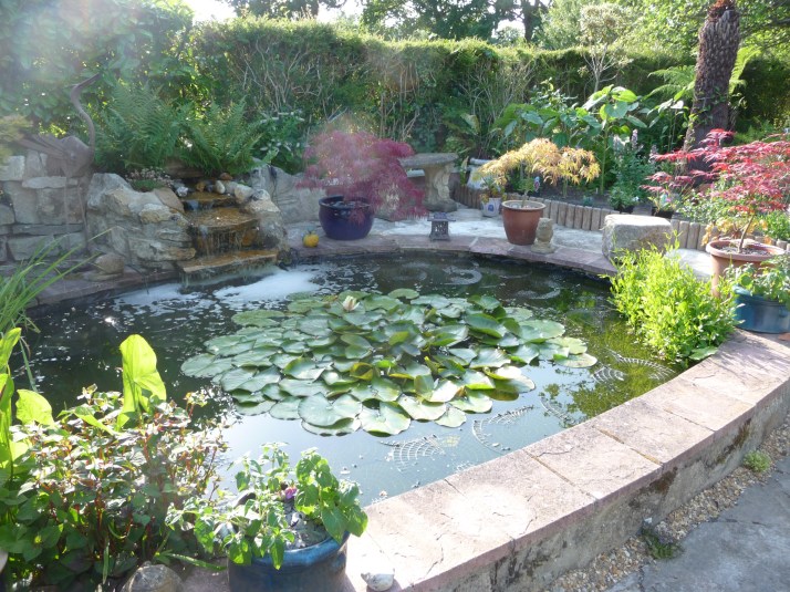Pond when it was newly built.